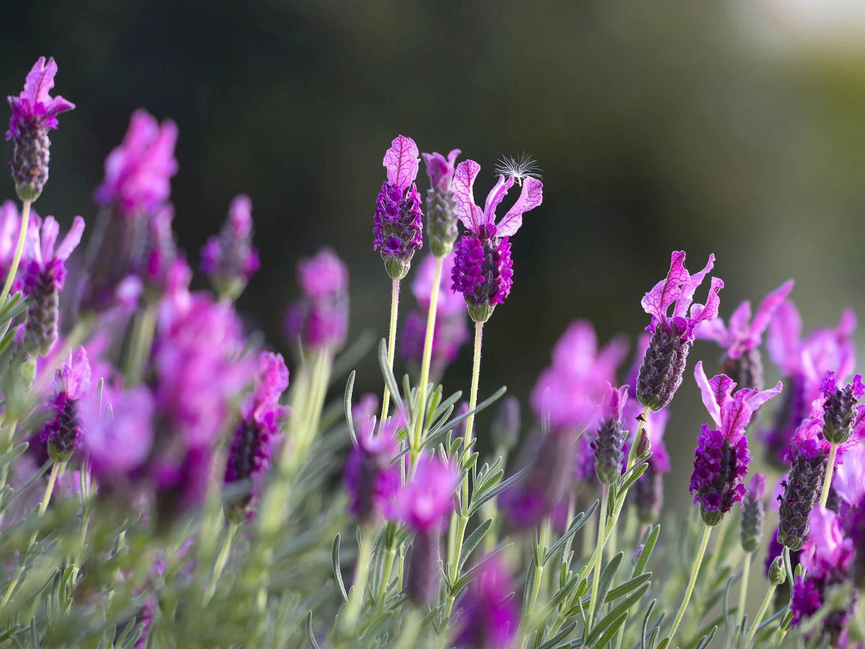 massage therapy in Grand County CO massage therapy in Grand County CO